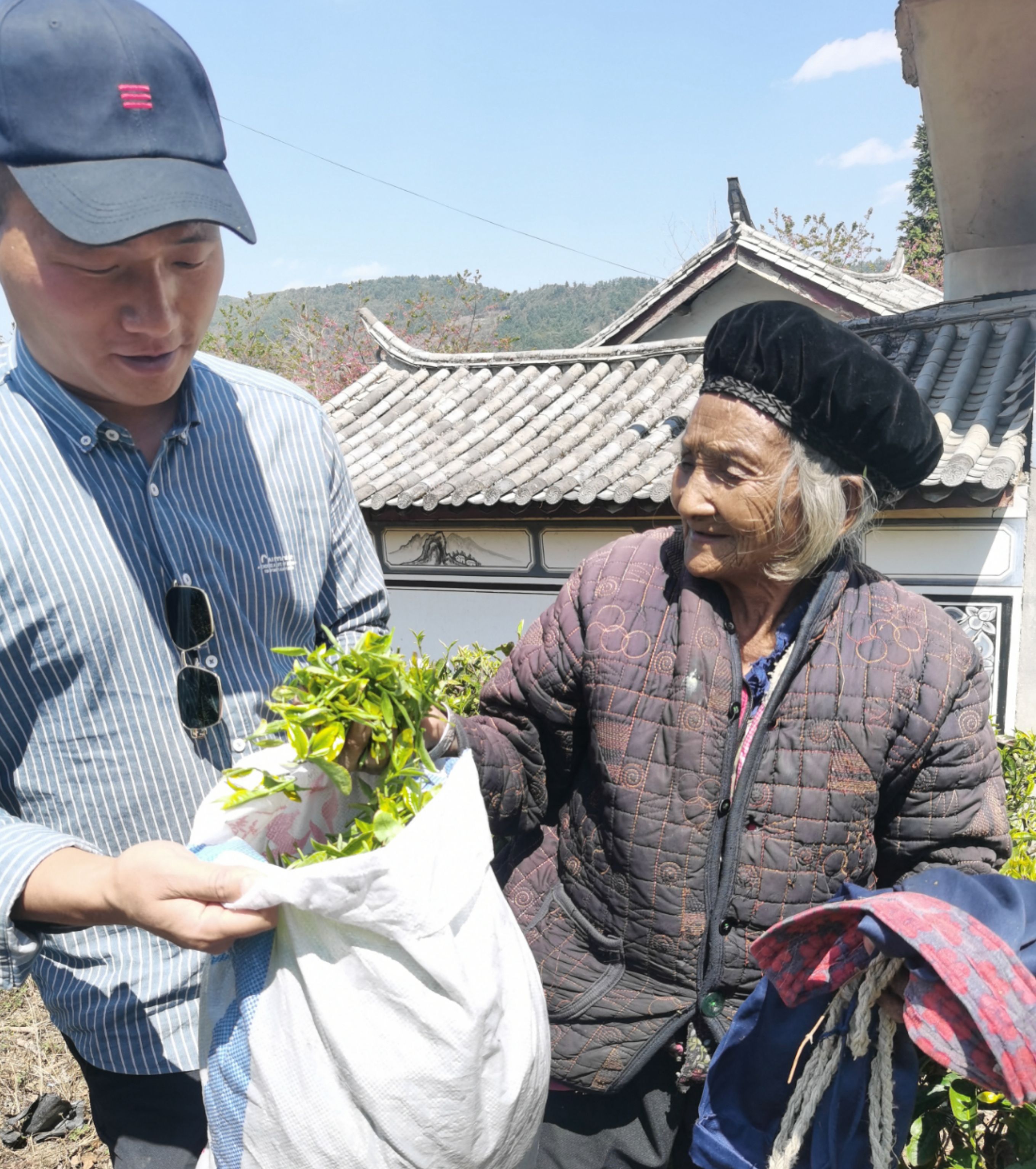 2024临沧凤庆红茶节（3）‖ 掐一缕“春”，带回家去煲汤喝（下）