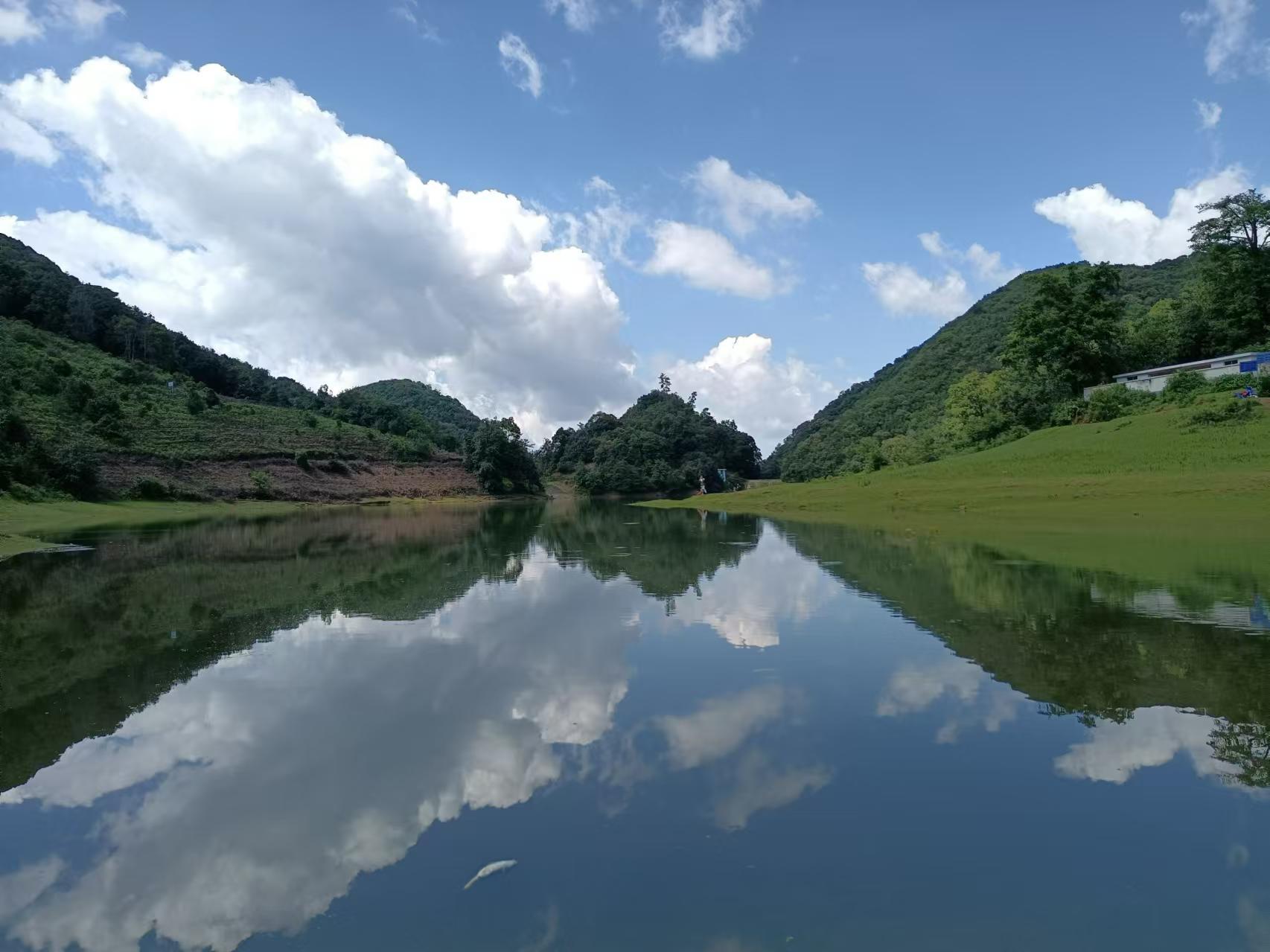 乡村四时好风光‖琼英古洞：西南边陲的那抹古茶净土（下）