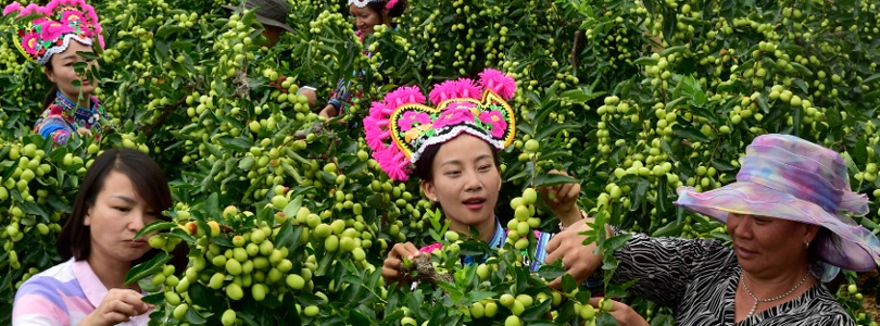 七彩云南